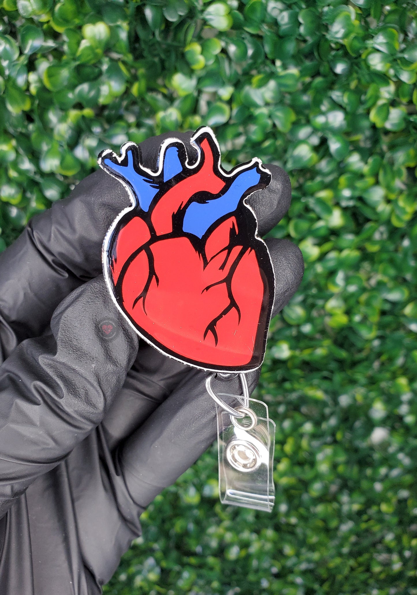 Anatomical Heart